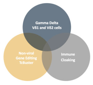 gamma-2.0+-platform