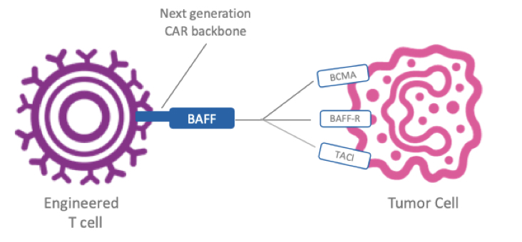 solution-to-antigen-escape