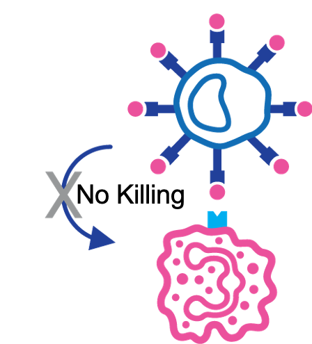 universal_receptor universal receptor